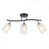 Люстра CITILUX Фортуна с поворотными плафонами, Венге Хром CL156132