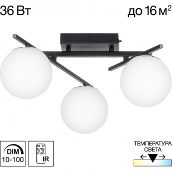 Люстра поворотная CITILUX DORSY CL223132 LED чёрная