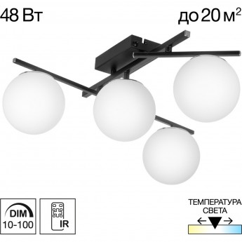 Люстра поворотная CITILUX DORSY CL223142 LED чёрная