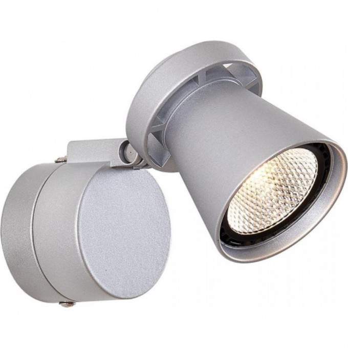 Спот поворотный CITILUX Дубль-1 LED Серебристый CL556511