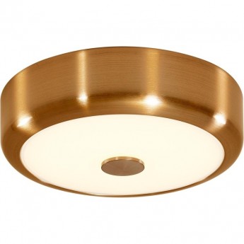 Светильник CITILUX Фостер-1 CL706112 LED с диммером, бронза