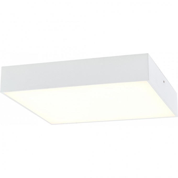 Светильник CITILUX Тао LED потолочный, с диммером, белый CL712K240