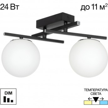 Светильник поворотный CITILUX DORSY CL223122 LED чёрный